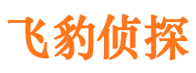 雁江侦探公司